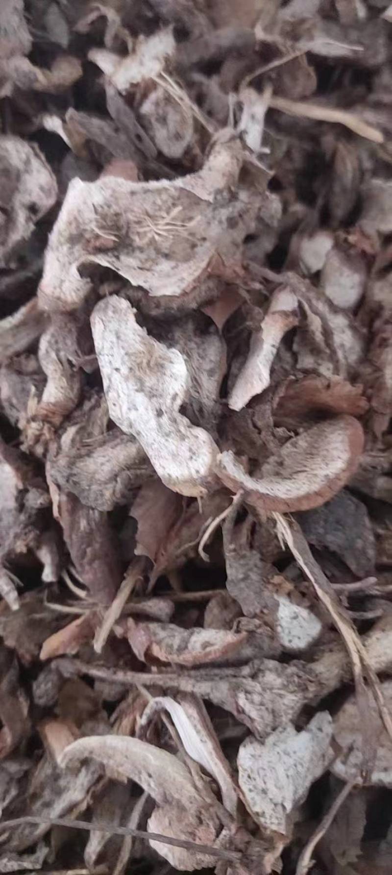 大别山野生白蔹片干货大量供应需要的联系