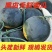 【优质】黑皮无籽西瓜红瓤无籽皮薄脆甜可实地验货视频看货