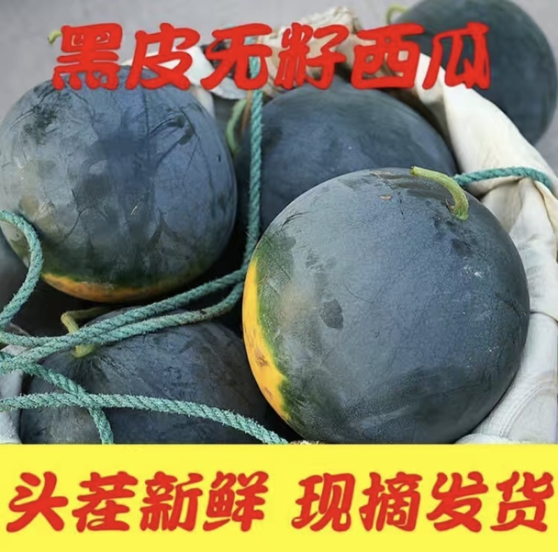 【优质】黑皮无籽西瓜红瓤无籽皮薄脆甜可实地验货视频看货