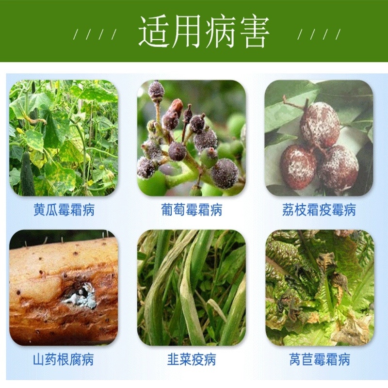 72%霜脲锰锌霜霉病疫病根腐病