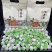 小青柑茶广东新会柑普茶500克袋装