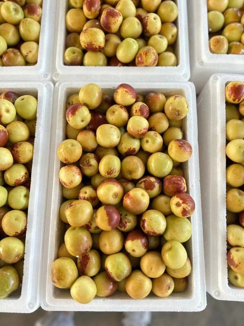 陕西大量供应大荔冬枣产地直供支持一件代发