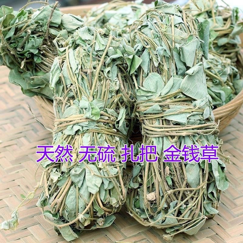 金钱草，新货大叶金钱草，广金钱草，金钱草，各种规格金钱草