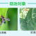 80%灭蝇胺斑潜蝇