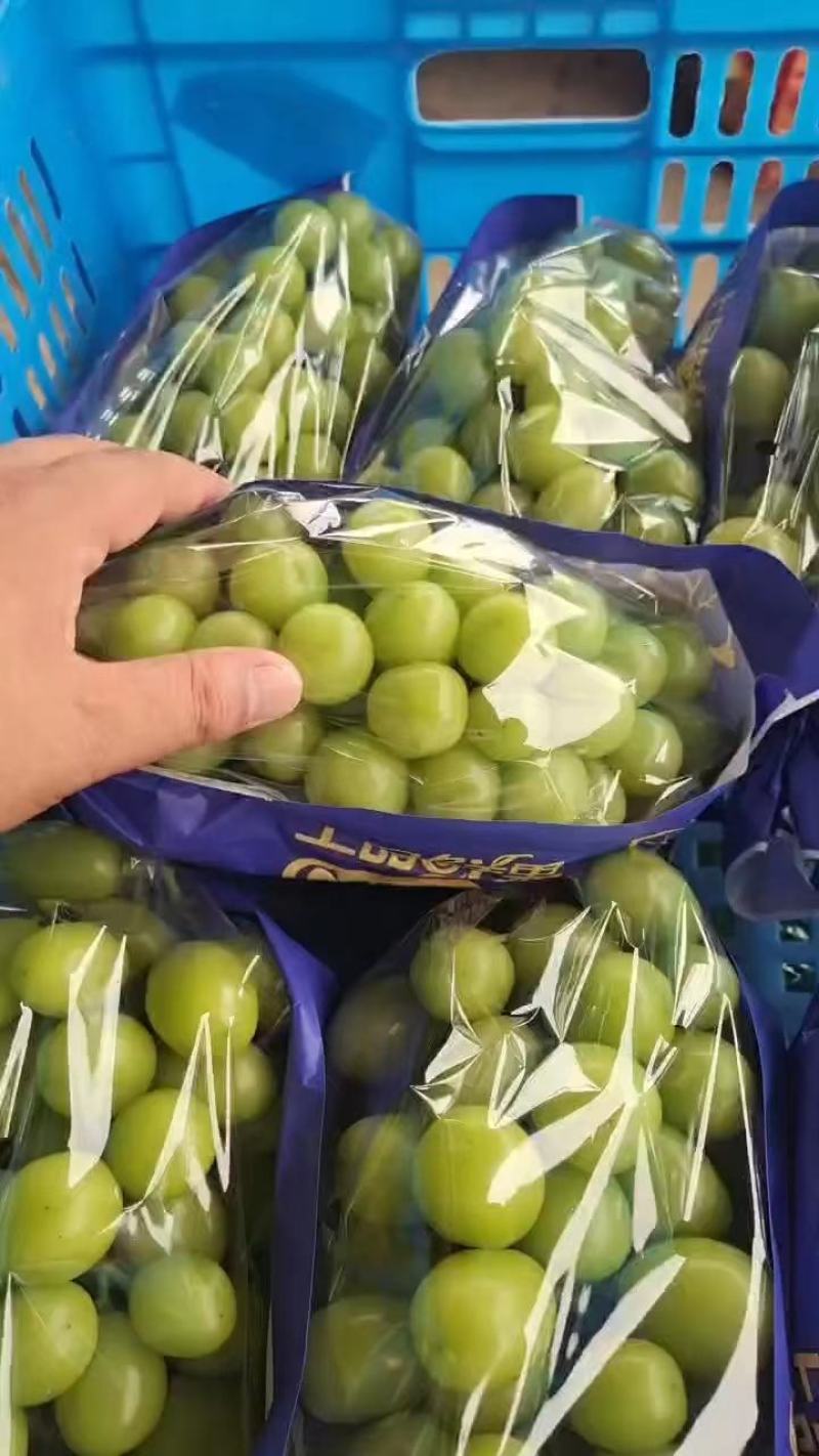 【实力】精品阳光玫瑰葡萄，果园直采，严选品质，可视频看货