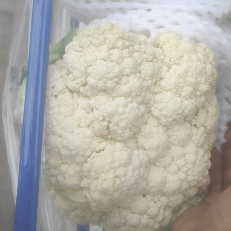 有机菜花，新鲜的，冷库货，特白，带4个小叶子，没黄点。
