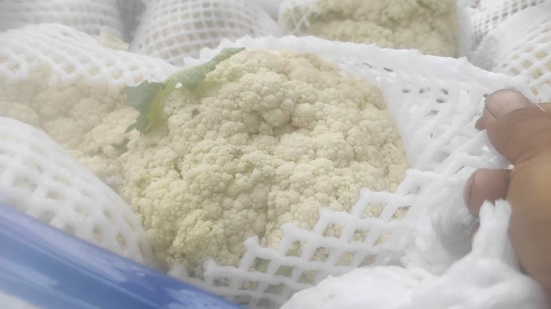 有机菜花，新鲜的，冷库货，特白，带4个小叶子，没黄点。