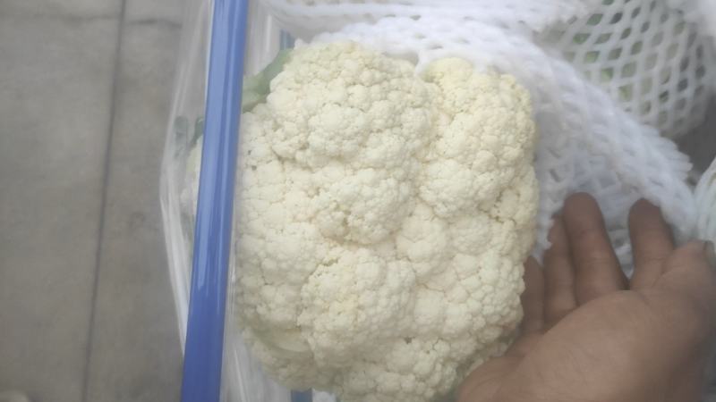 有机菜花，新鲜的，冷库货，特白，带4个小叶子，没黄点。