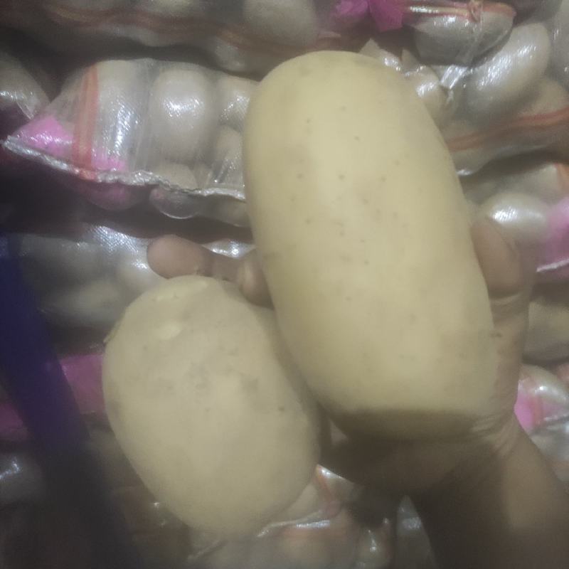 精品黄心土豆，半斤以上，新货，无坏的