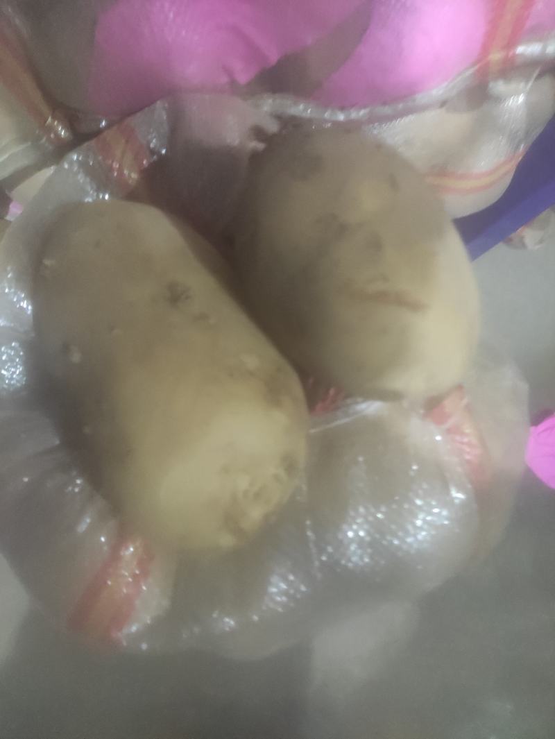 精品黄心土豆，半斤以上，新货，无坏的