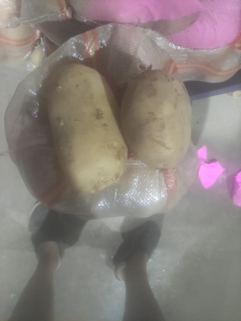 精品黄心土豆，半斤以上，新货，无坏的