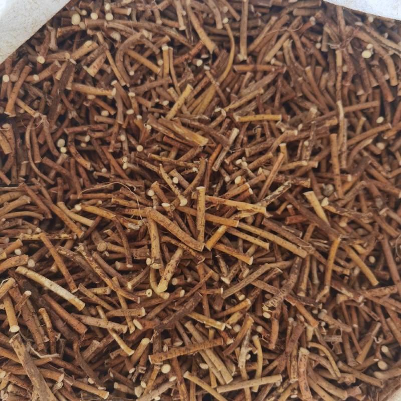推荐五指毛桃各种规格，产地供应，欢迎合作共赢
