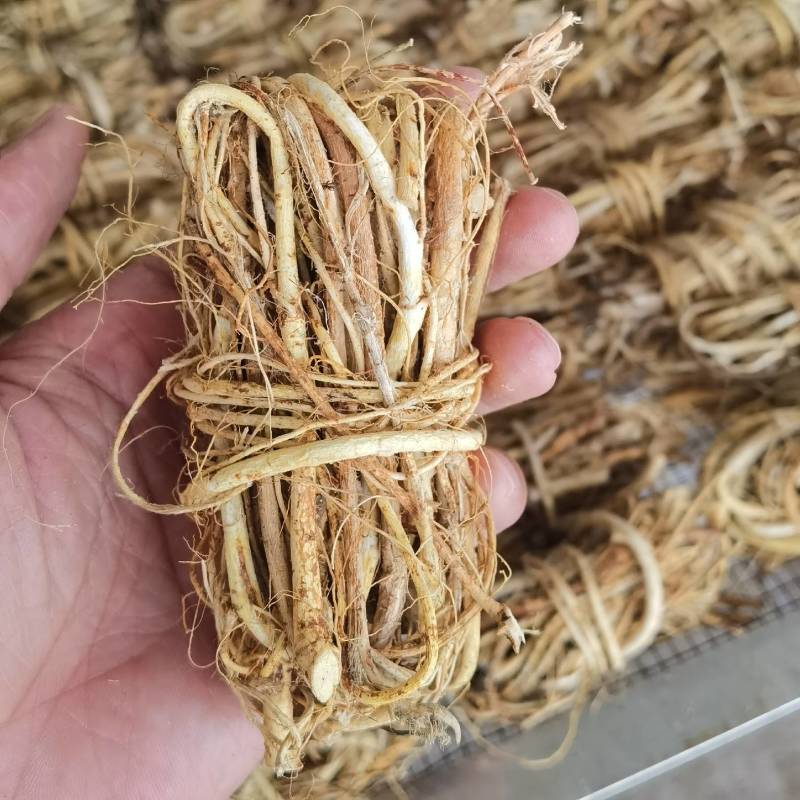 推荐五指毛桃各种规格，产地供应，欢迎合作共赢