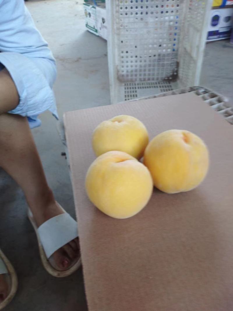 黄桃