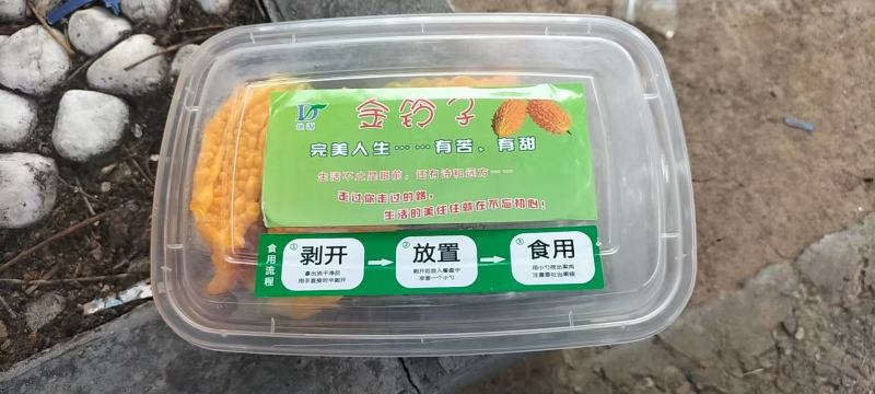 山东嘉祥特产癞葡萄大量供应对接全国客商产地直发