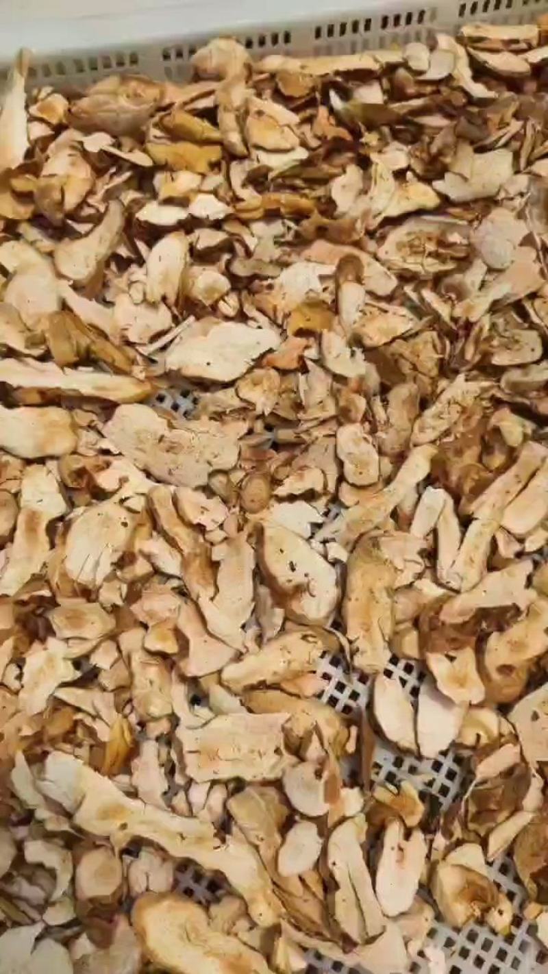 粉质土茯苓片
