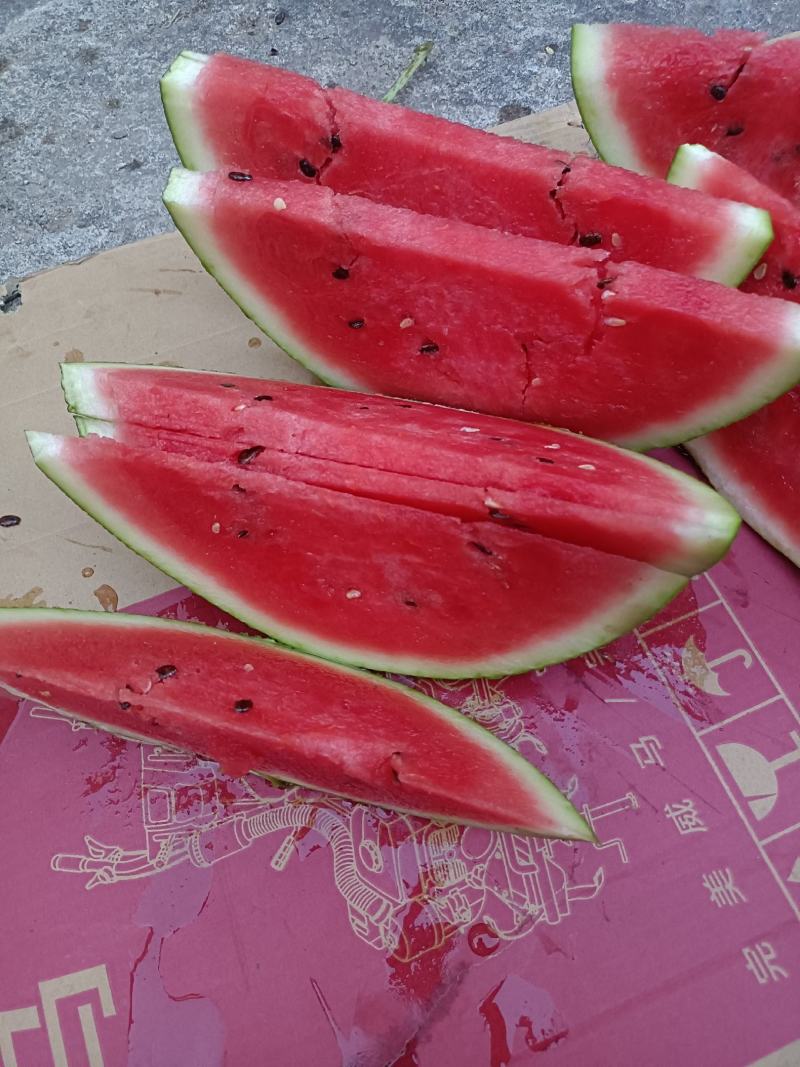 红米露天头茬瓜，皮薄，无上水无翻沙质量三包
