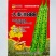 油菜种子食用油型油菜种子产量高含油量高抗病抗倒性强籽粒大