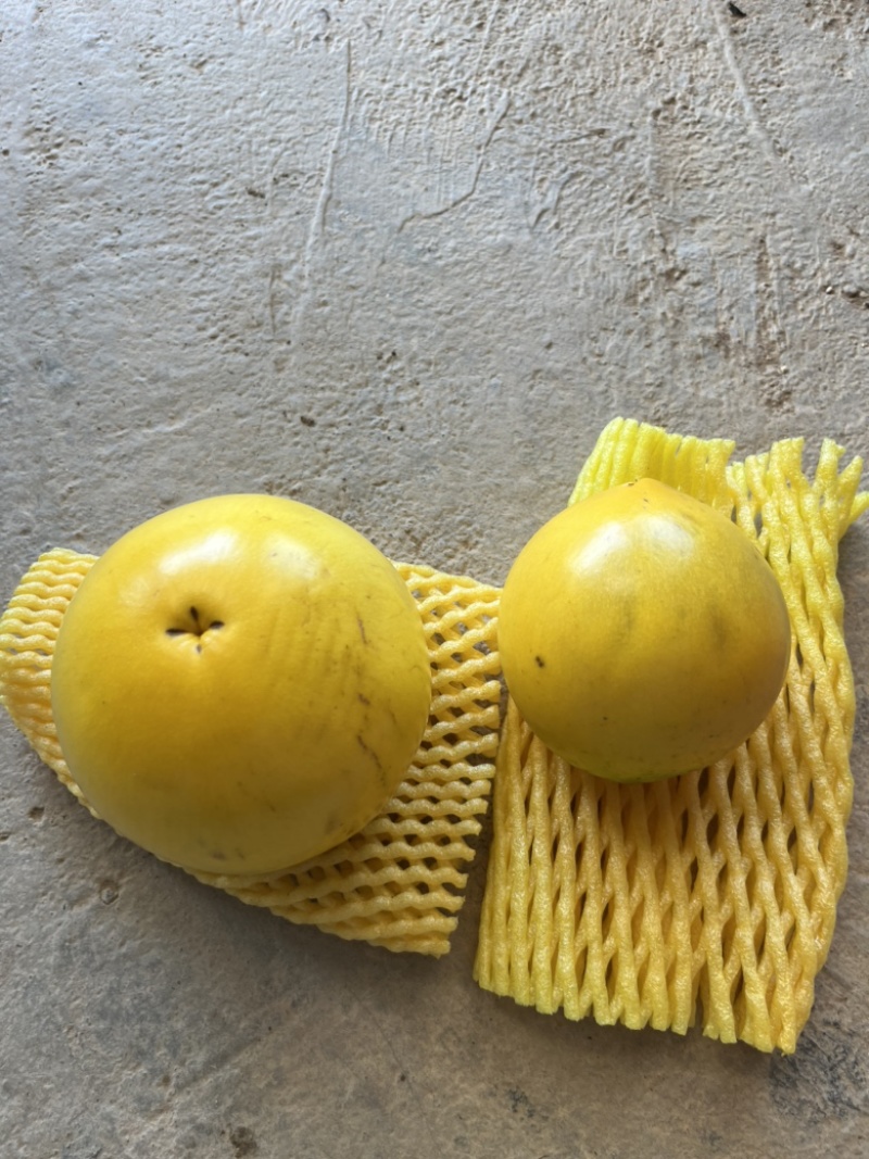 黄金果