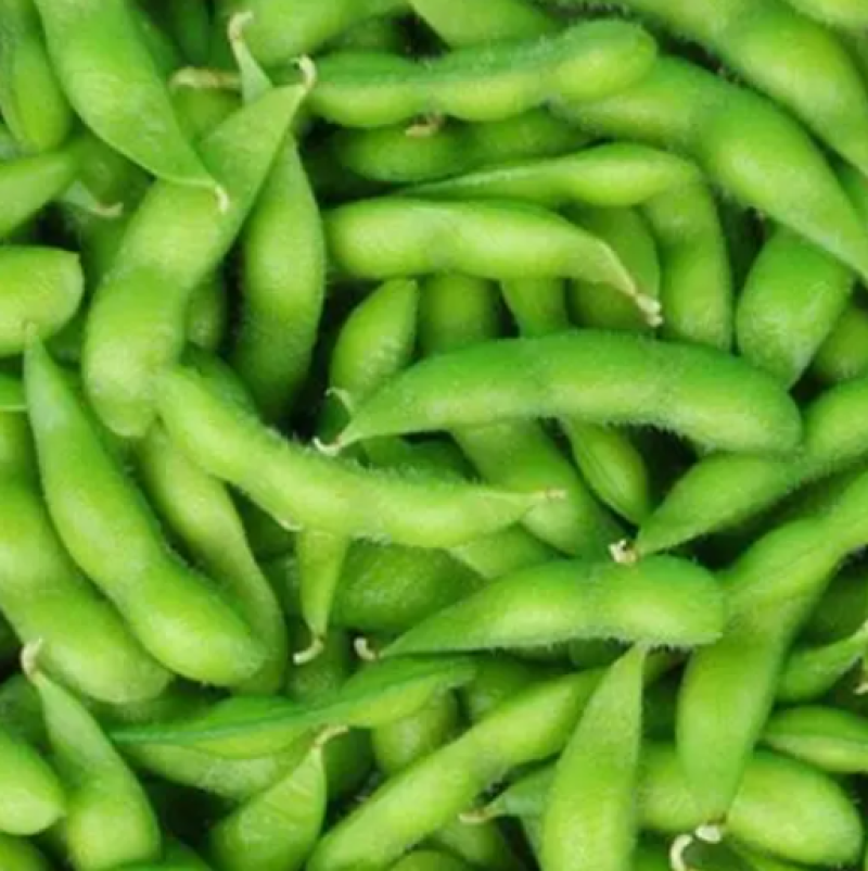 『牛商推荐』精品冷冻蔬菜冻毛豆、青刀豆大量供应，全国发货