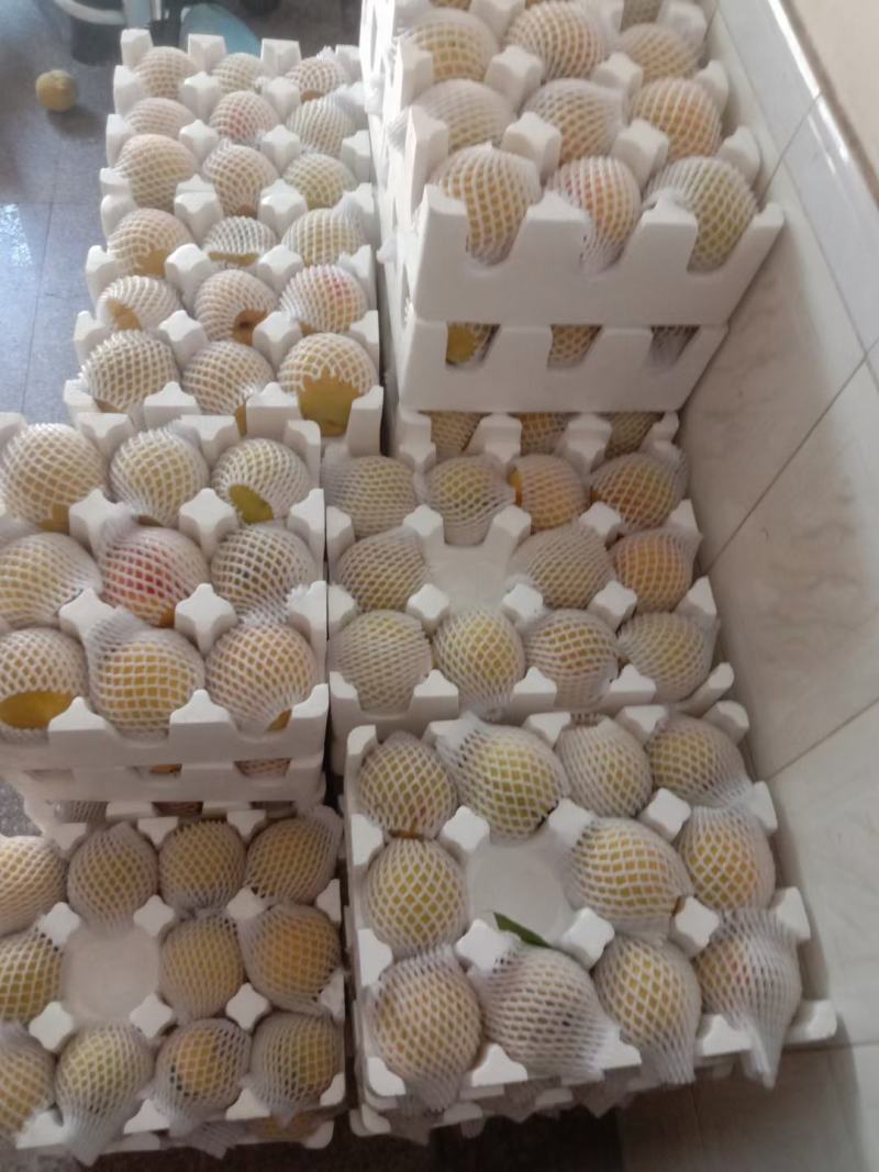 建宁锦绣黄桃，