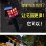太阳能草坪灯户外家用庭院地插灯圣诞节日装饰小夜灯彩灯防