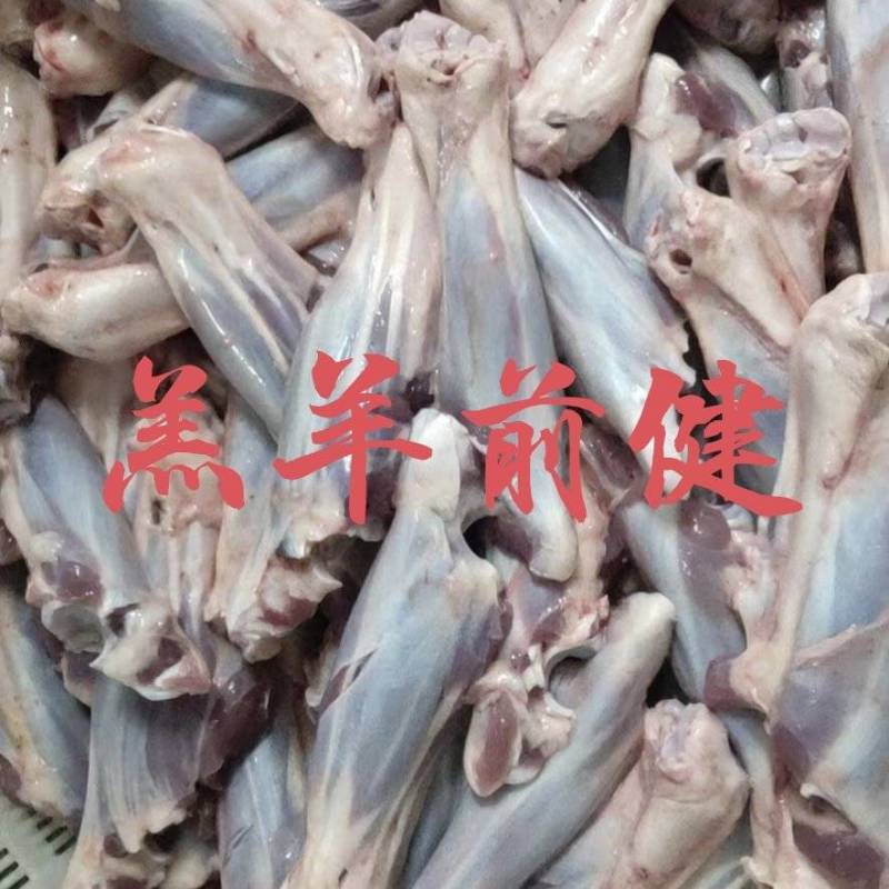 【羔羊前小腿】当地草地羊的鲜冻！单个半斤左右！屠宰场直销