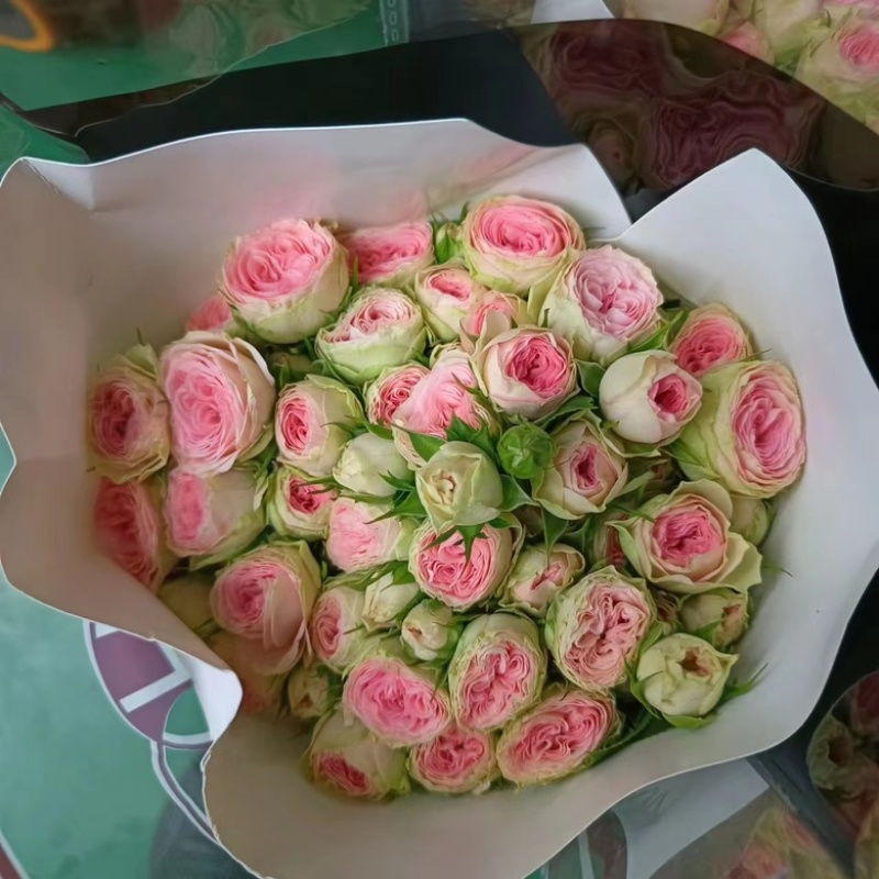 多头玫瑰鲜花花束泡泡批发配色云南昆明基地直发家用水养
