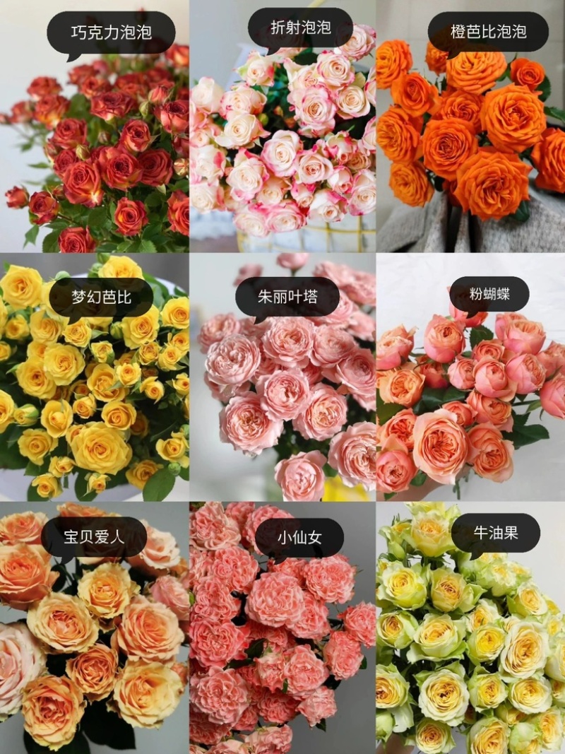 多头玫瑰鲜花花束泡泡批发配色云南昆明基地直发家用水养