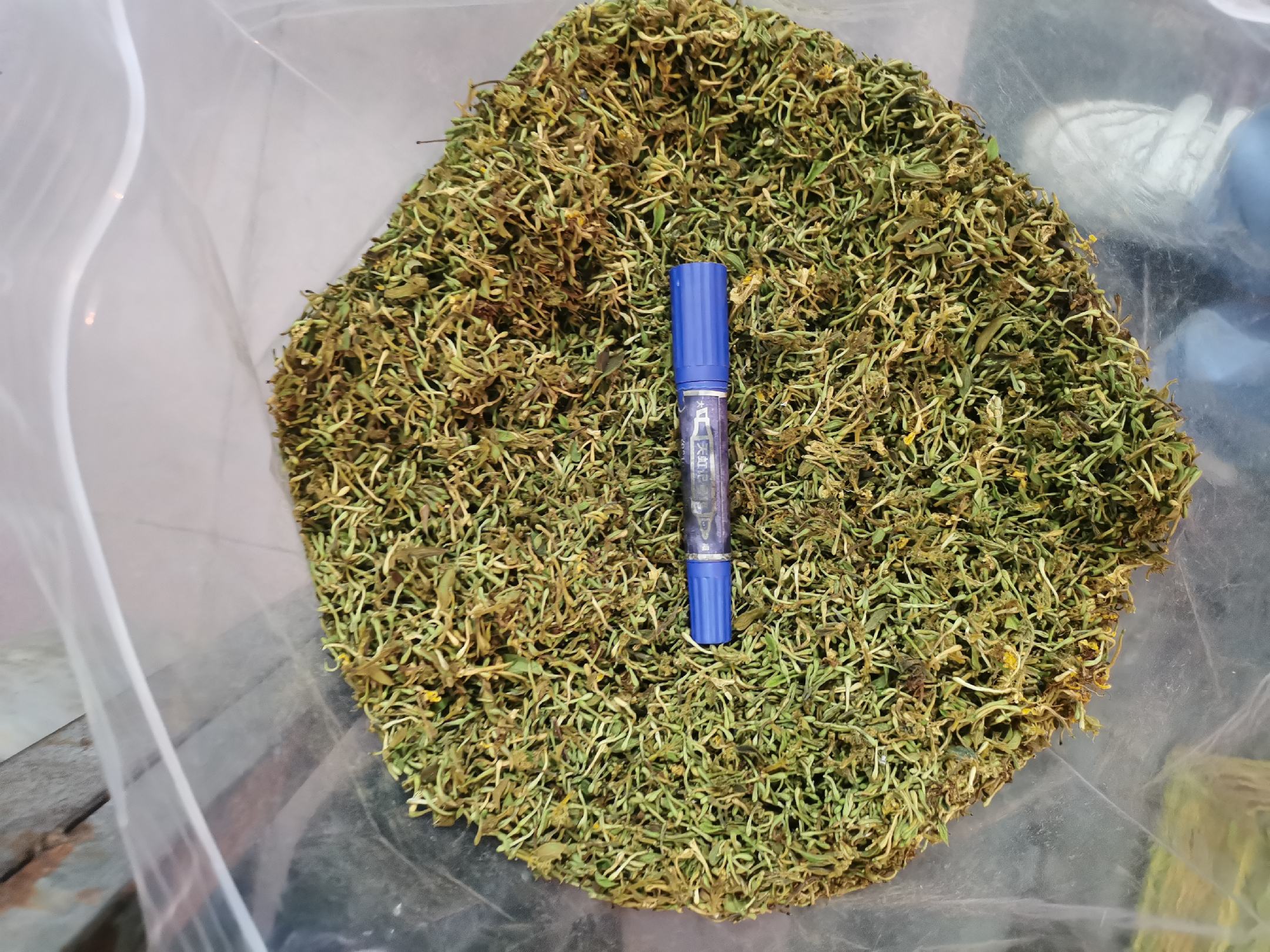 展示不同大小百合干粒的实物对比图,用于直观判断10克百合的数量范围 百合干粒实物对比图