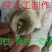 八步臭豆腐爆浆小豆腐