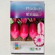 冰糖芯红萝卜种子水果萝卜种子紫红皮肉内芯红口感甜脆多汁