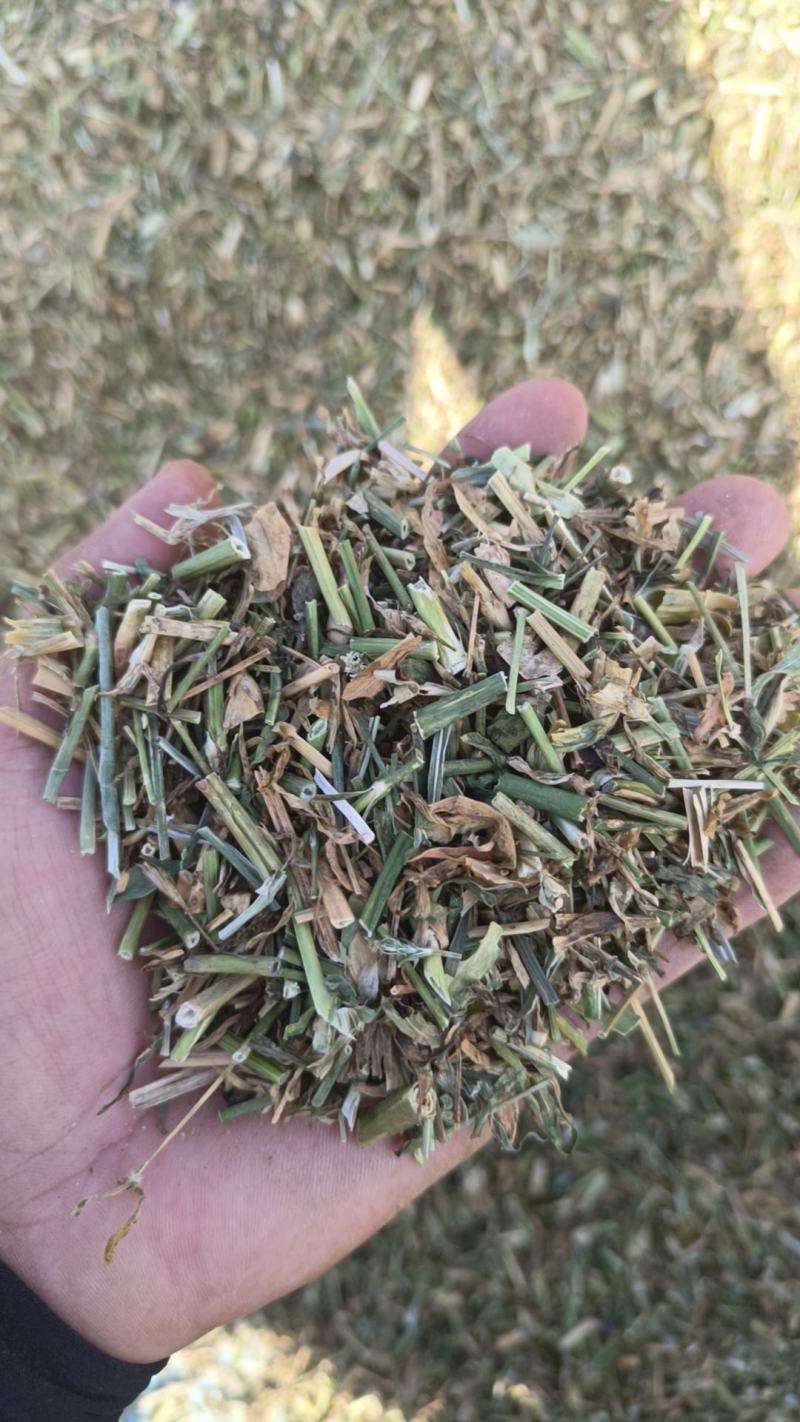 产新瞿麦，苣麦