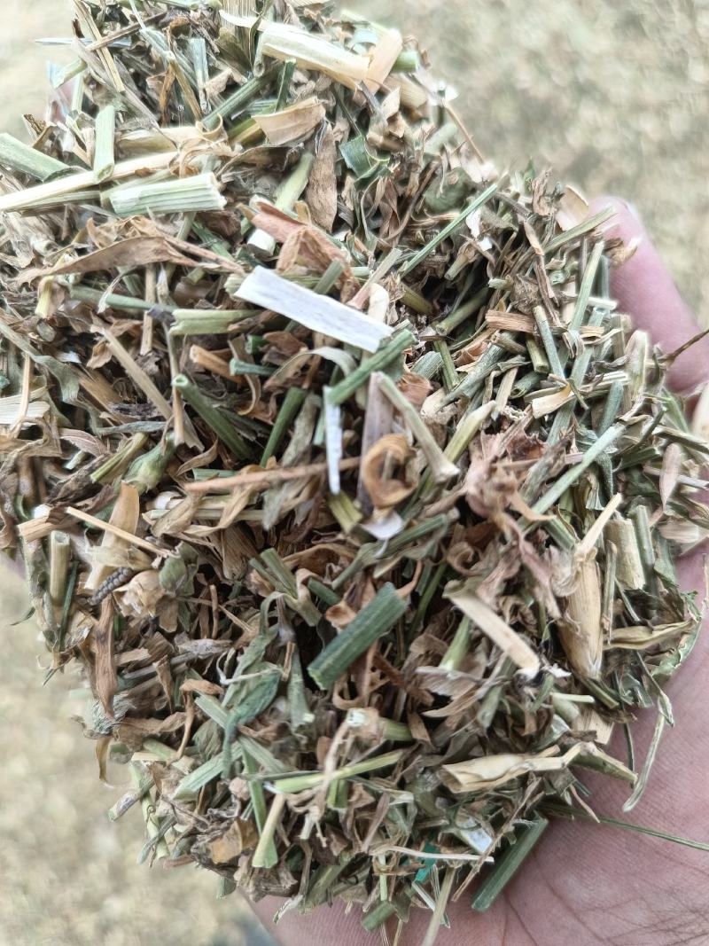 产新瞿麦，苣麦