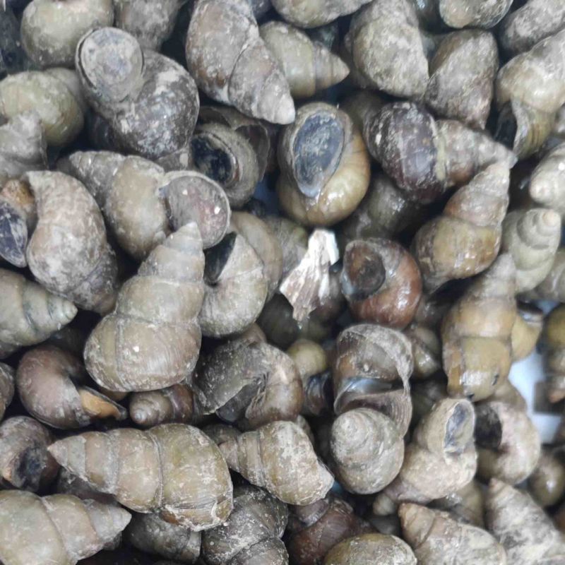 量大便宜了白菜价