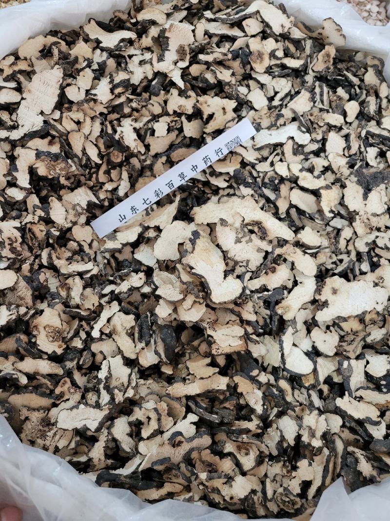 猪苓陕西产地货源大量供应多种规格中药材批发零售