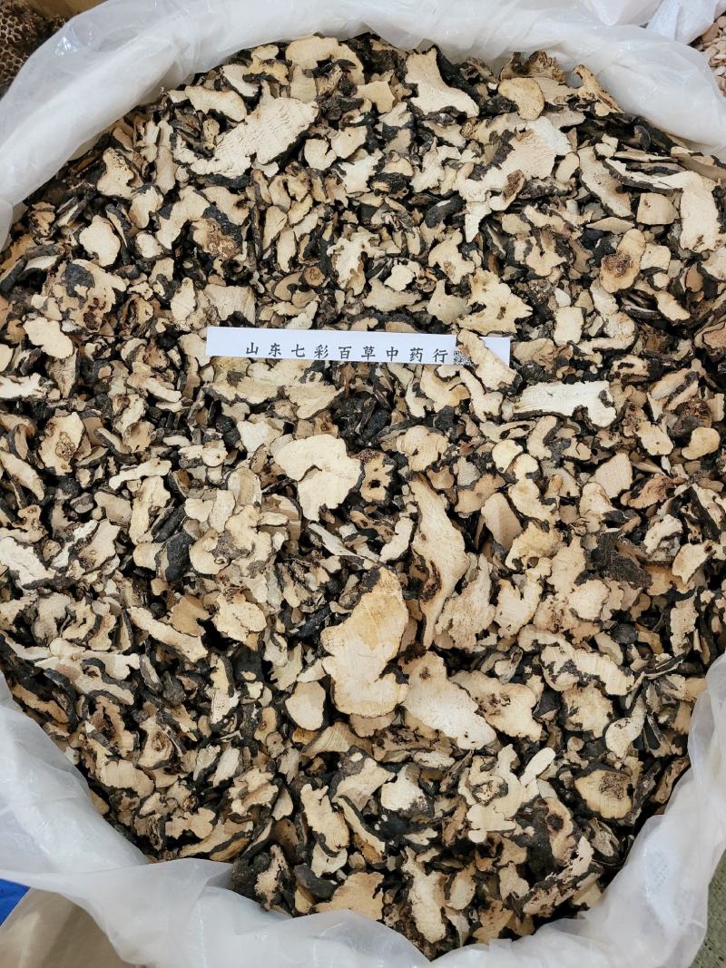 猪苓陕西产地货源大量供应多种规格中药材批发零售