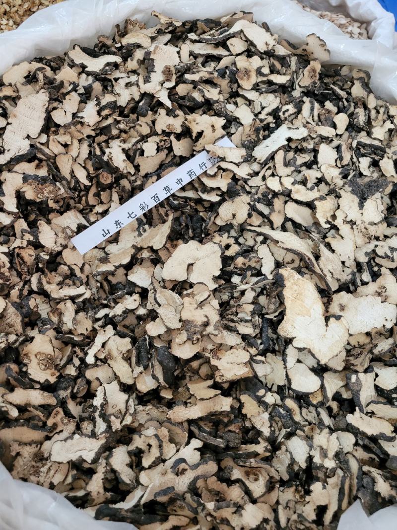 猪苓陕西产地货源大量供应多种规格中药材批发零售