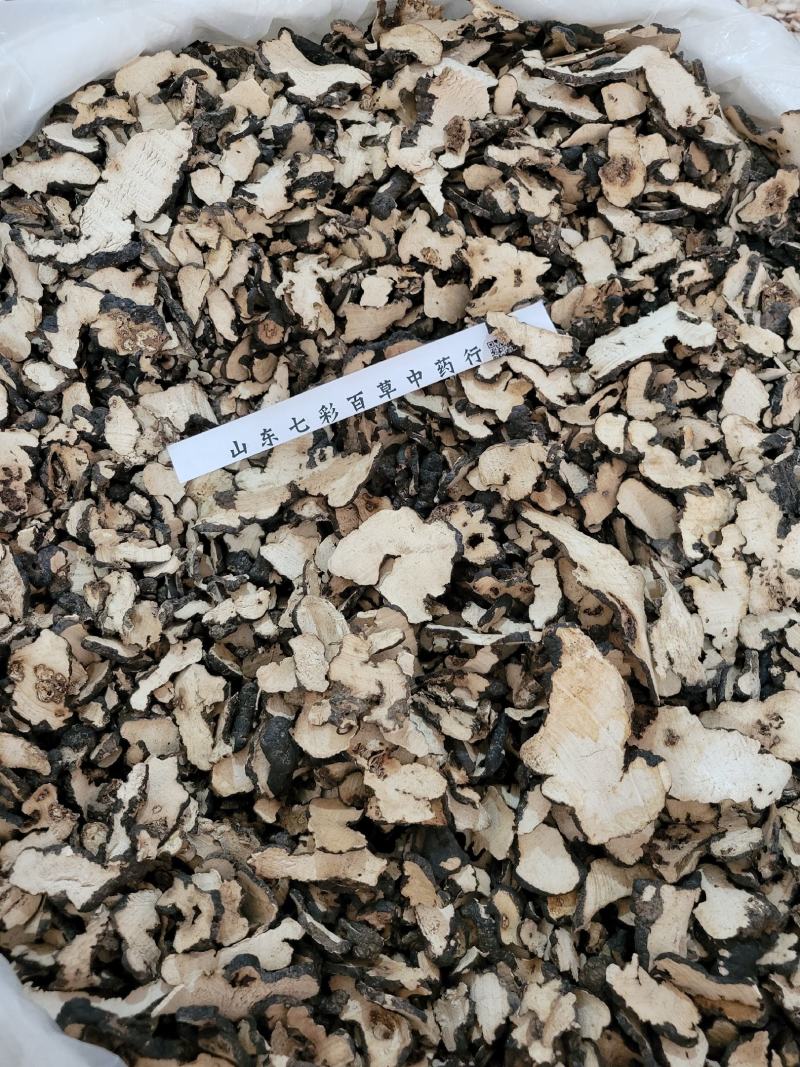 猪苓陕西产地货源大量供应多种规格中药材批发零售