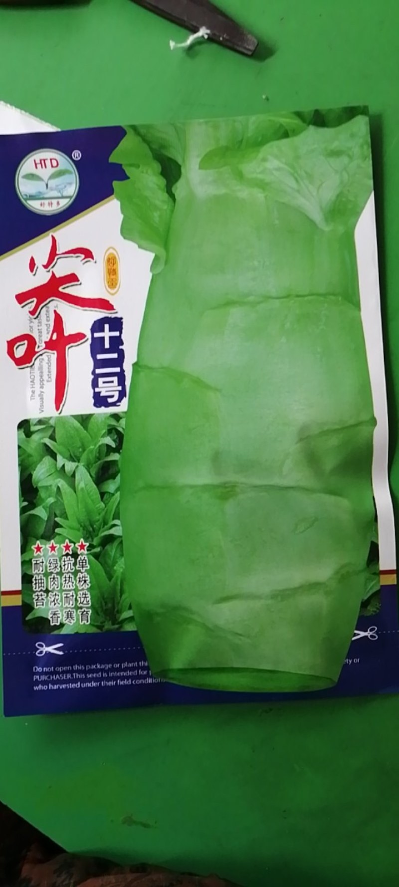 尖叫十二号莴笋，抗热耐寒绿肉浓香耐抽苔产量高。