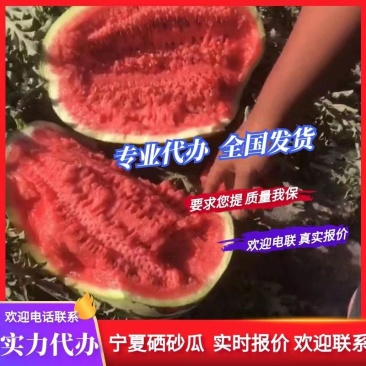 好卖【宁夏硒砂瓜】正宗石头缝里蹦出来的瓜，口感脆甜！