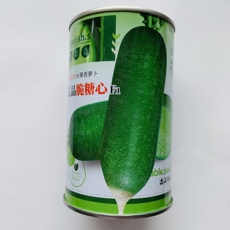 杂交一代水果萝卜种子青萝卜种子根形美观皮薄肉细商品性好
