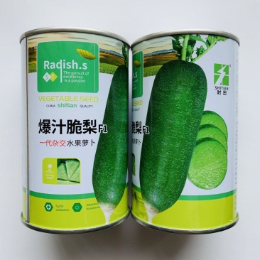 杂交一代水果型萝卜种子青萝卜种子表皮翠绿根形美观口感好