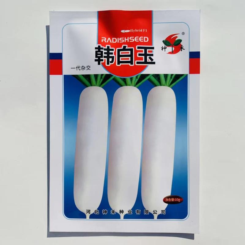 杂交一代白萝卜种子生长速度快肉质嫩脆甜商品性好可生食熟食