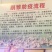 纯种大三花鹅苗