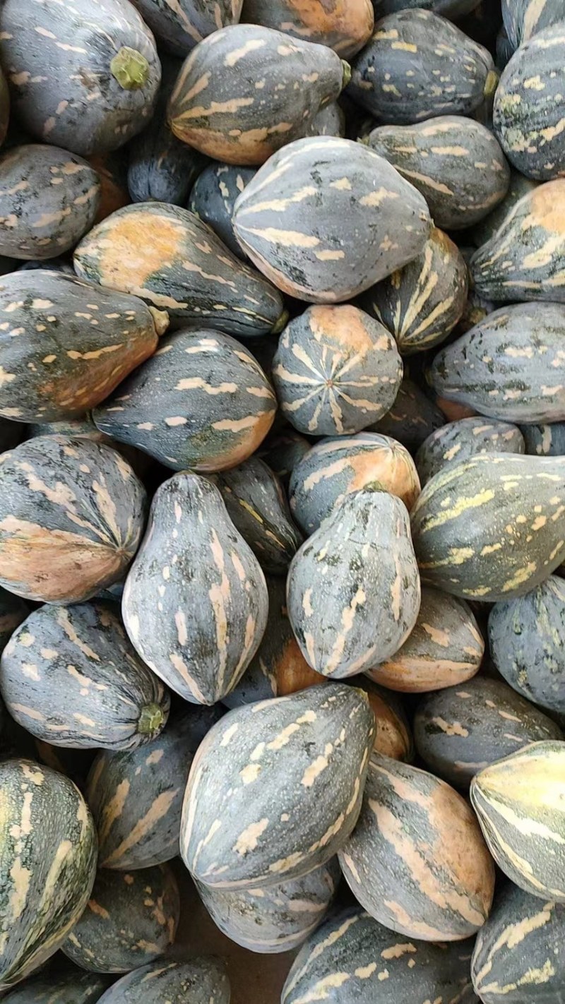 香芋南瓜/产地发货品质好需要的老板电话