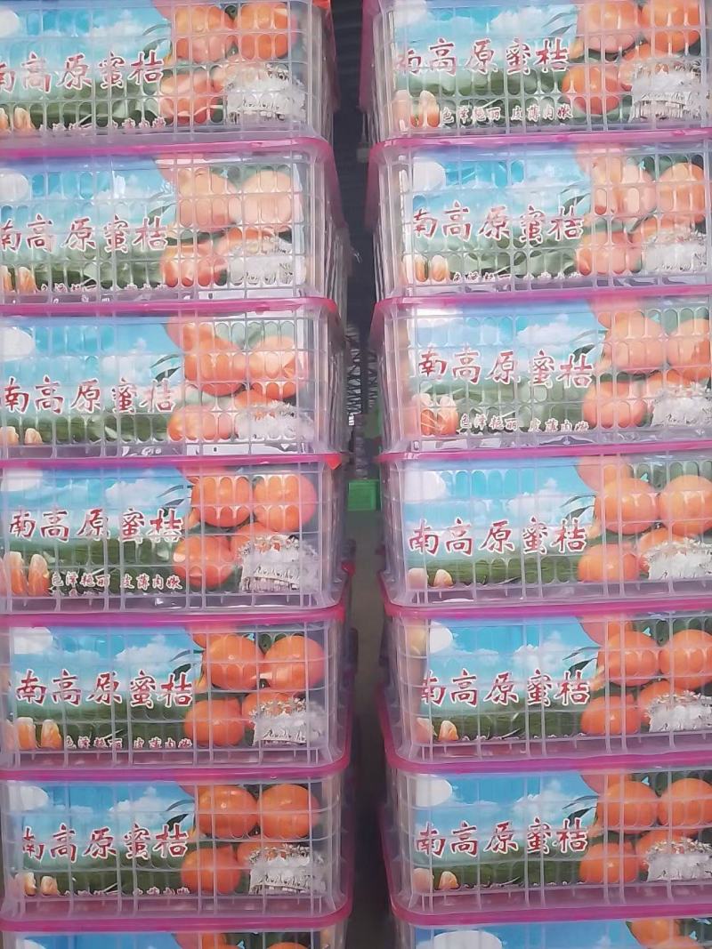 云南叶桔高山蜜橘特早柑橘皮薄肉甜果园现采大量价优