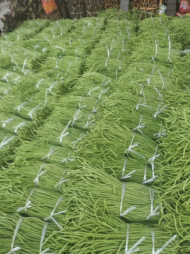 汉中豇豆青豇豆长豆角可供市场酱菜厂产地直供