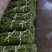 汉中豇豆青豇豆长豆角可供市场酱菜厂产地直供