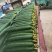 莘县精品黄瓜干花带刺22~25公分品质上乘价格优